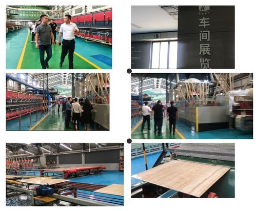 探訪廣東，解碼品質與工廠價 海南捷誠裝飾考察之旅的技術啟示